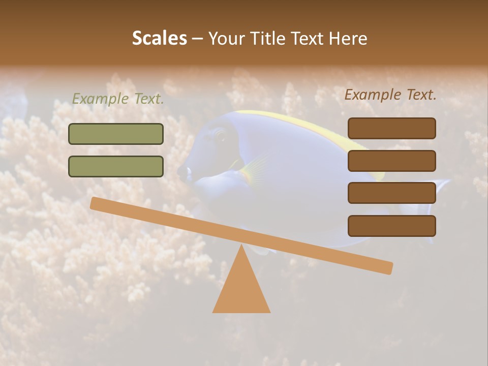 Fish Beauty Beautiful PowerPoint Template