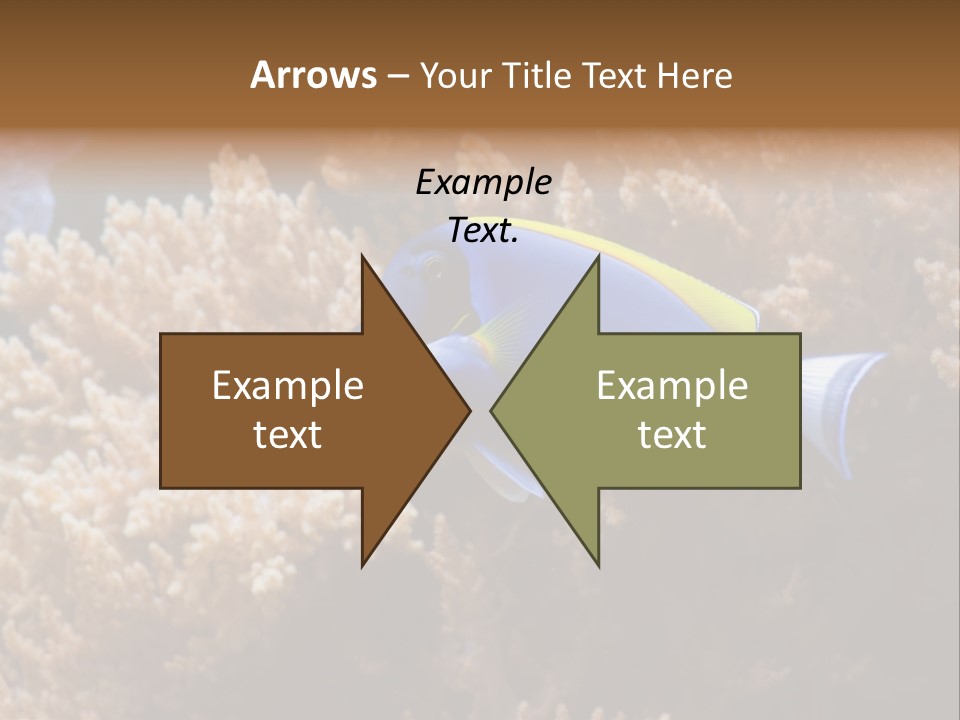 Fish Beauty Beautiful PowerPoint Template