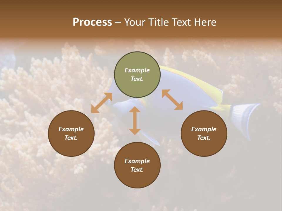 Fish Beauty Beautiful PowerPoint Template