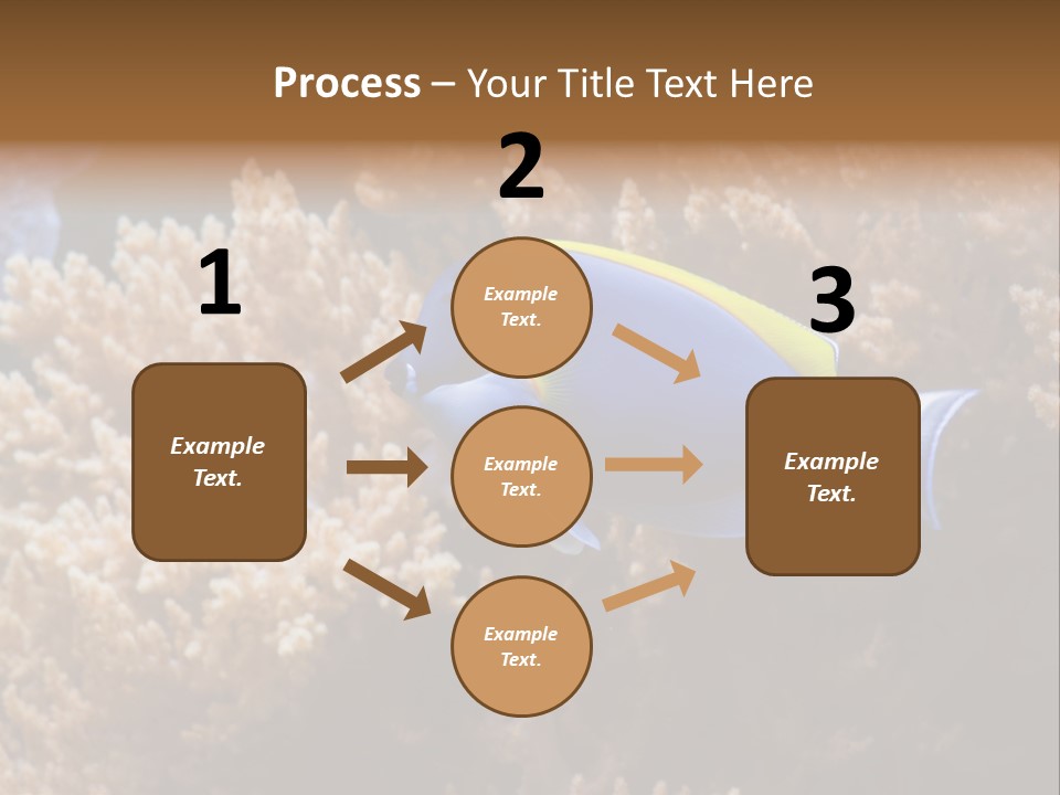 Fish Beauty Beautiful PowerPoint Template