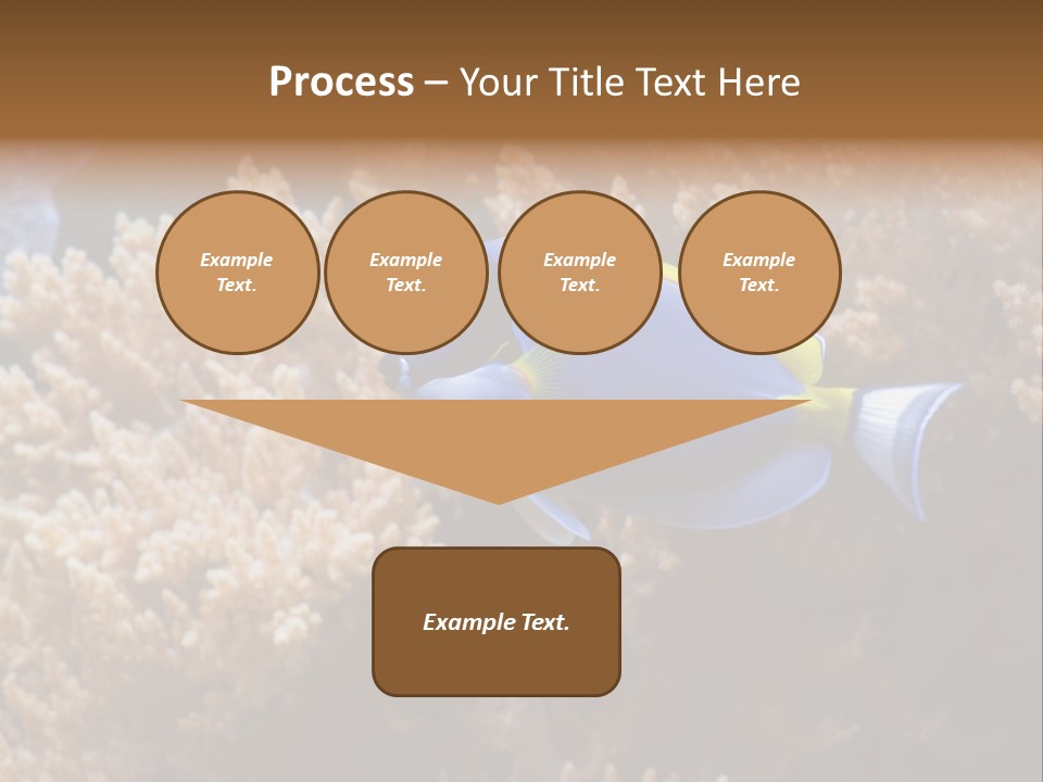 Fish Beauty Beautiful PowerPoint Template