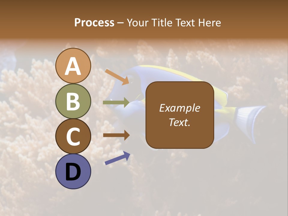 Fish Beauty Beautiful PowerPoint Template