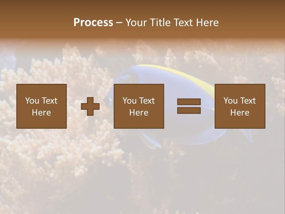 Fish Beauty Beautiful PowerPoint Template