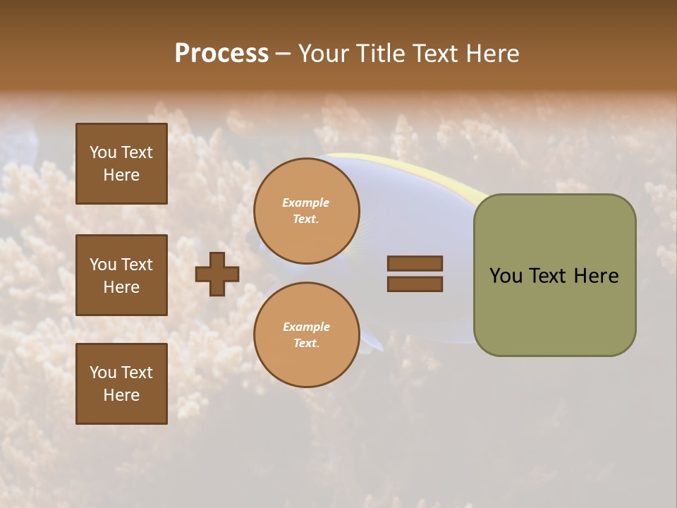 Fish Beauty Beautiful PowerPoint Template