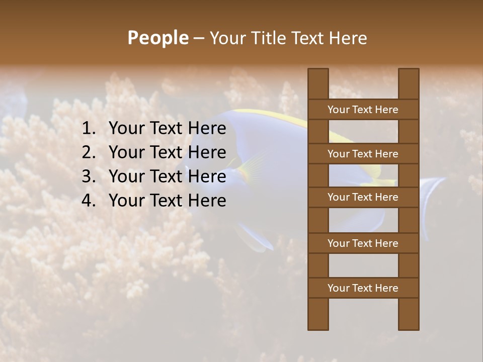 Fish Beauty Beautiful PowerPoint Template