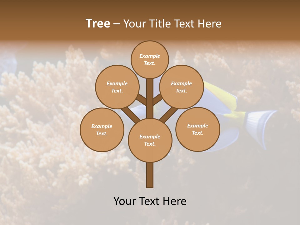 Fish Beauty Beautiful PowerPoint Template