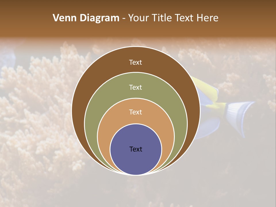 Fish Beauty Beautiful PowerPoint Template