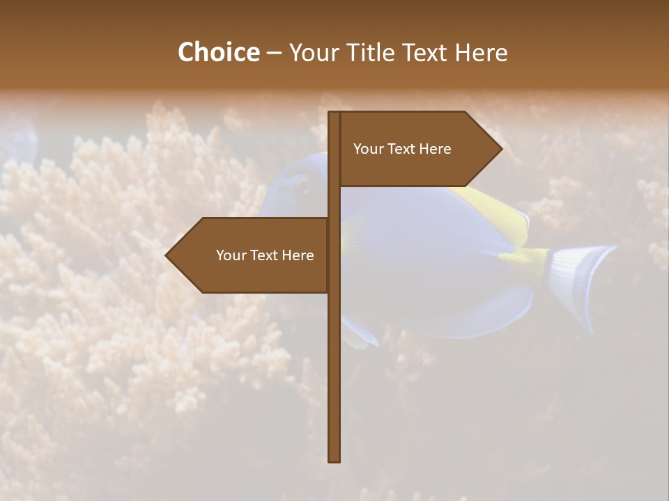 Fish Beauty Beautiful PowerPoint Template