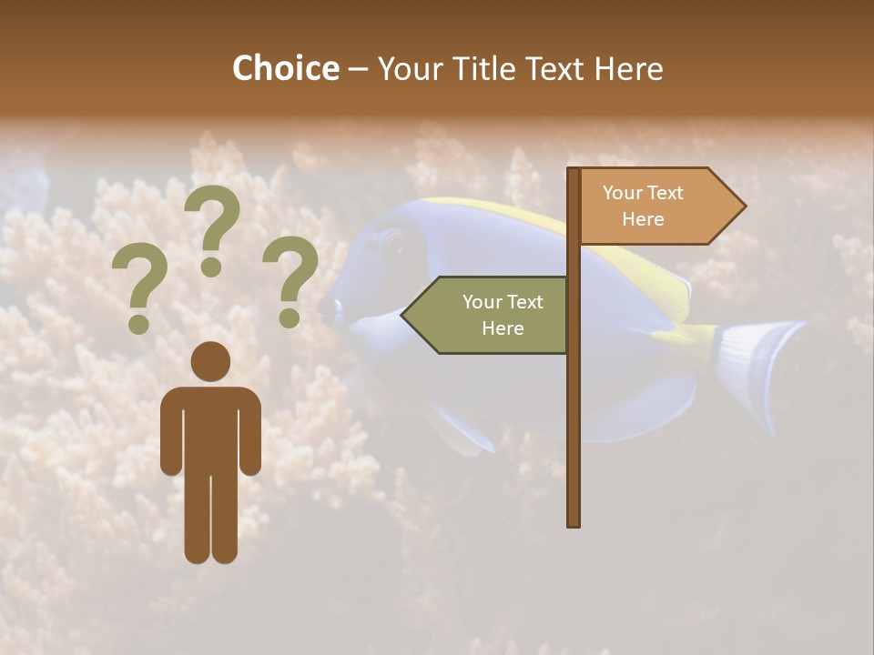 Fish Beauty Beautiful PowerPoint Template