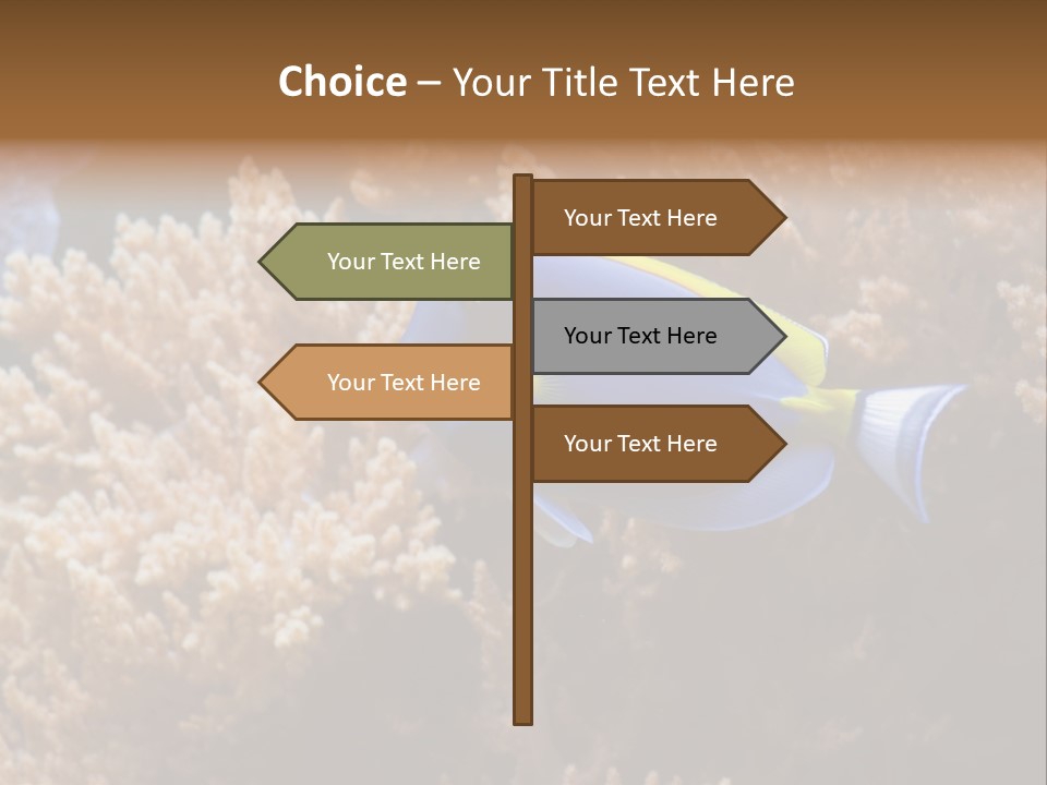 Fish Beauty Beautiful PowerPoint Template