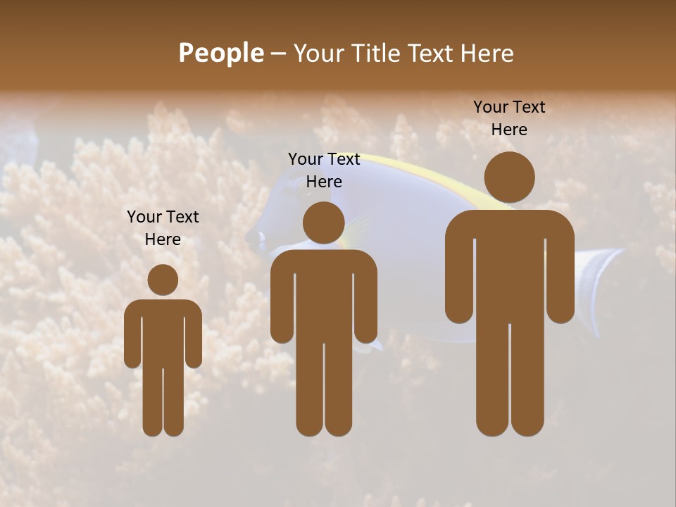 Fish Beauty Beautiful PowerPoint Template