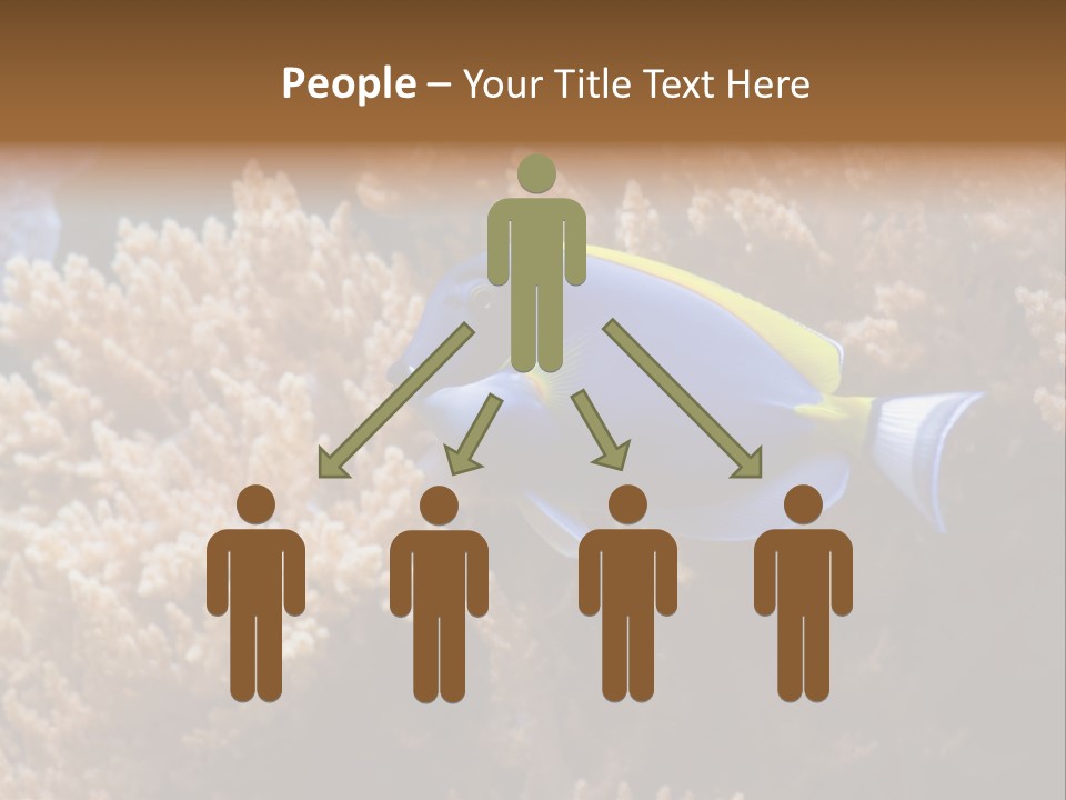 Fish Beauty Beautiful PowerPoint Template