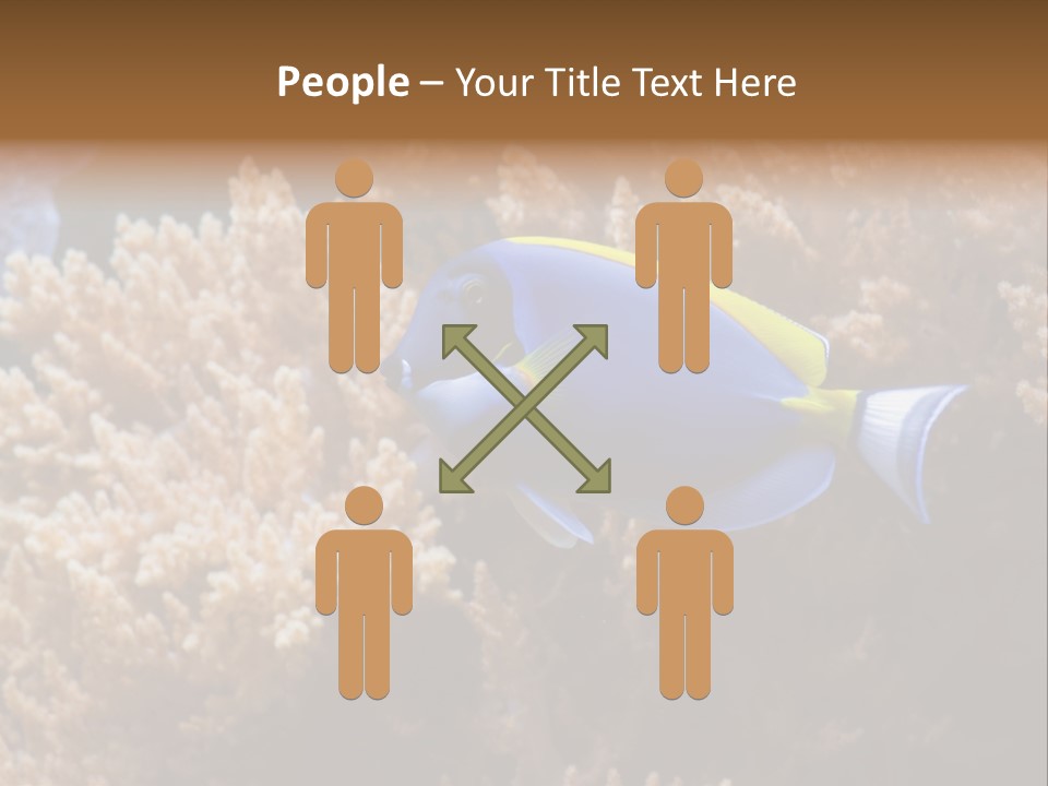 Fish Beauty Beautiful PowerPoint Template