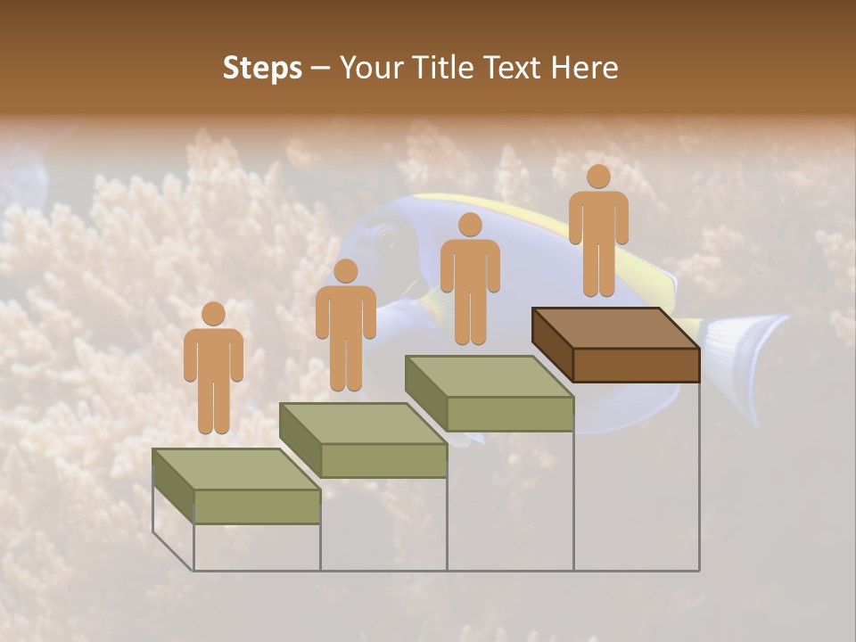 Fish Beauty Beautiful PowerPoint Template