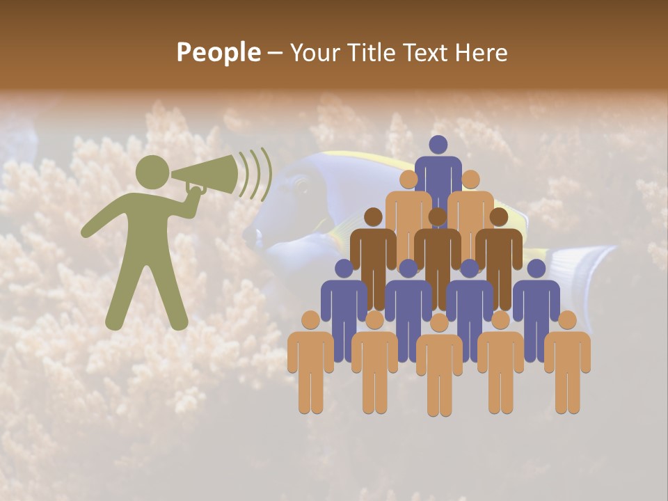 Fish Beauty Beautiful PowerPoint Template