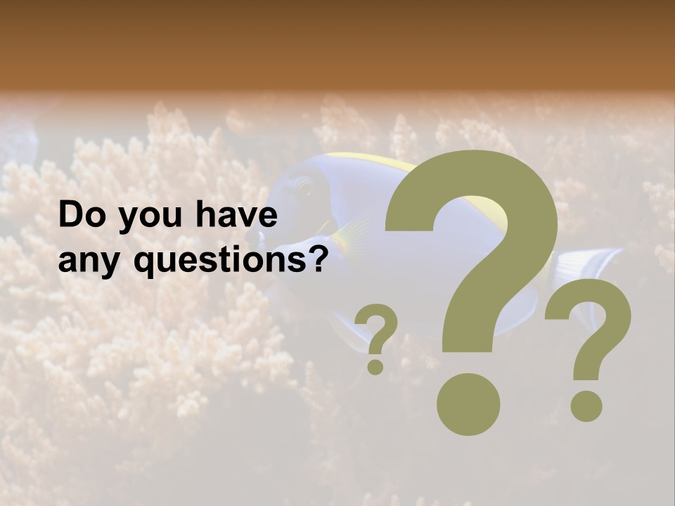 Fish Beauty Beautiful PowerPoint Template