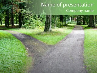 Two Forked Nature PowerPoint Template