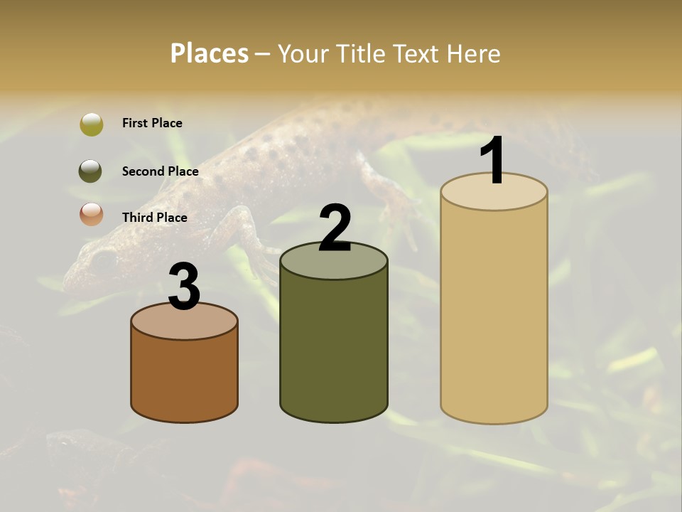 Crested Frog Young PowerPoint Template