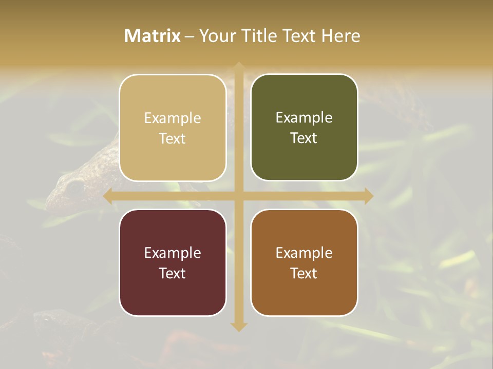 Crested Frog Young PowerPoint Template