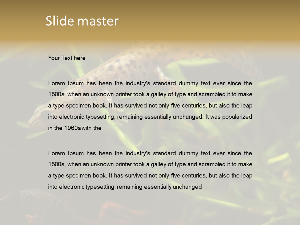 Crested Frog Young PowerPoint Template