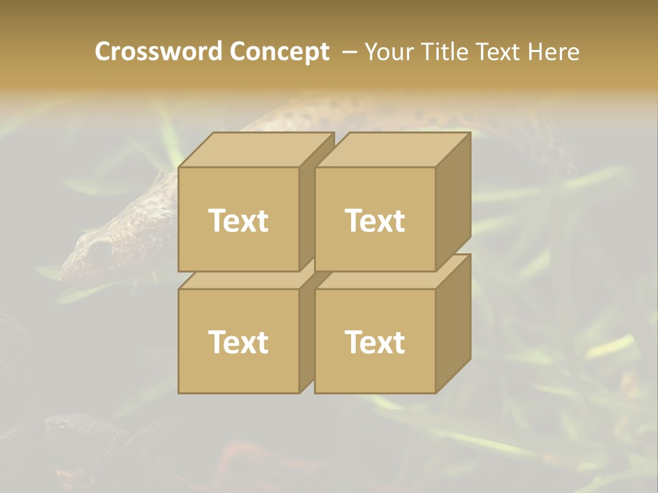 Crested Frog Young PowerPoint Template