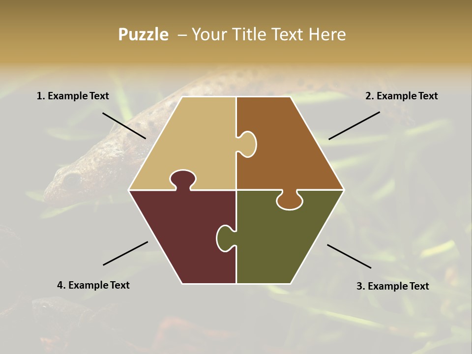 Crested Frog Young PowerPoint Template