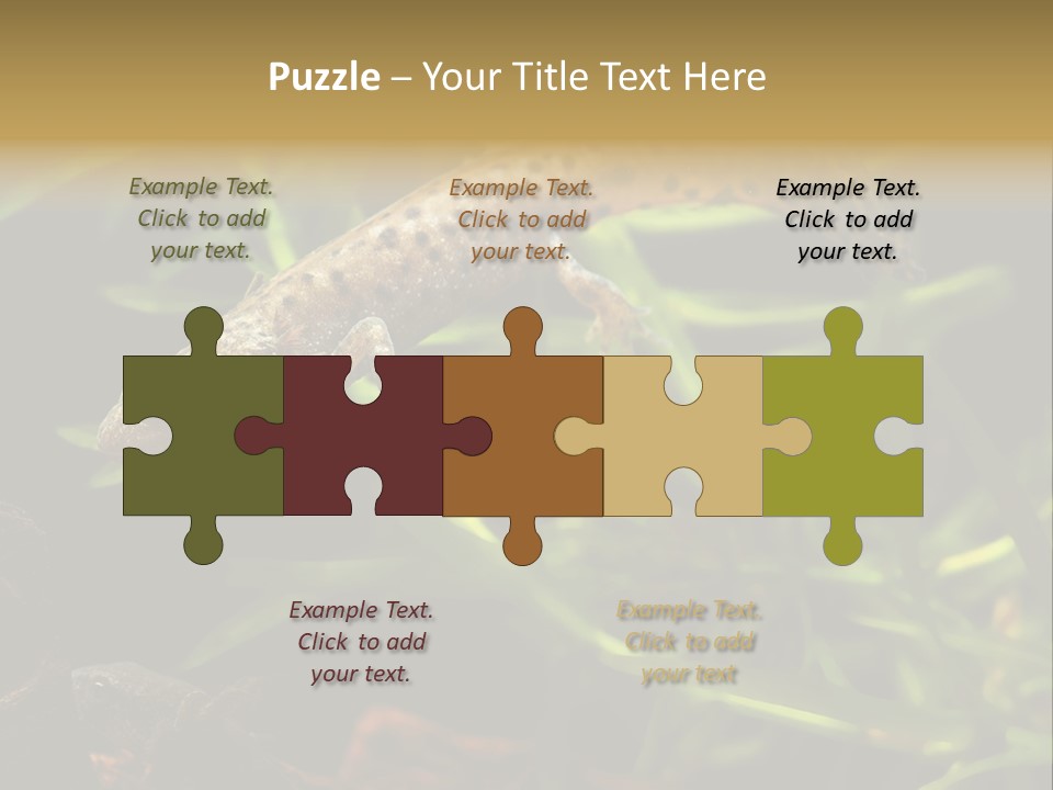 Crested Frog Young PowerPoint Template