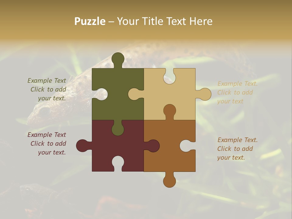 Crested Frog Young PowerPoint Template