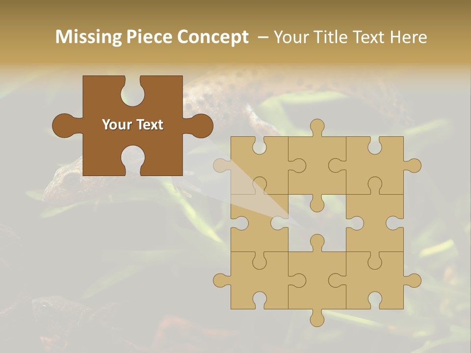 Crested Frog Young PowerPoint Template