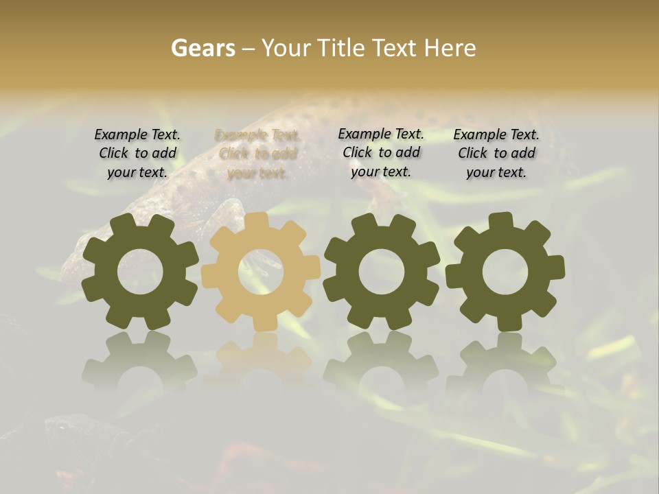 Crested Frog Young PowerPoint Template