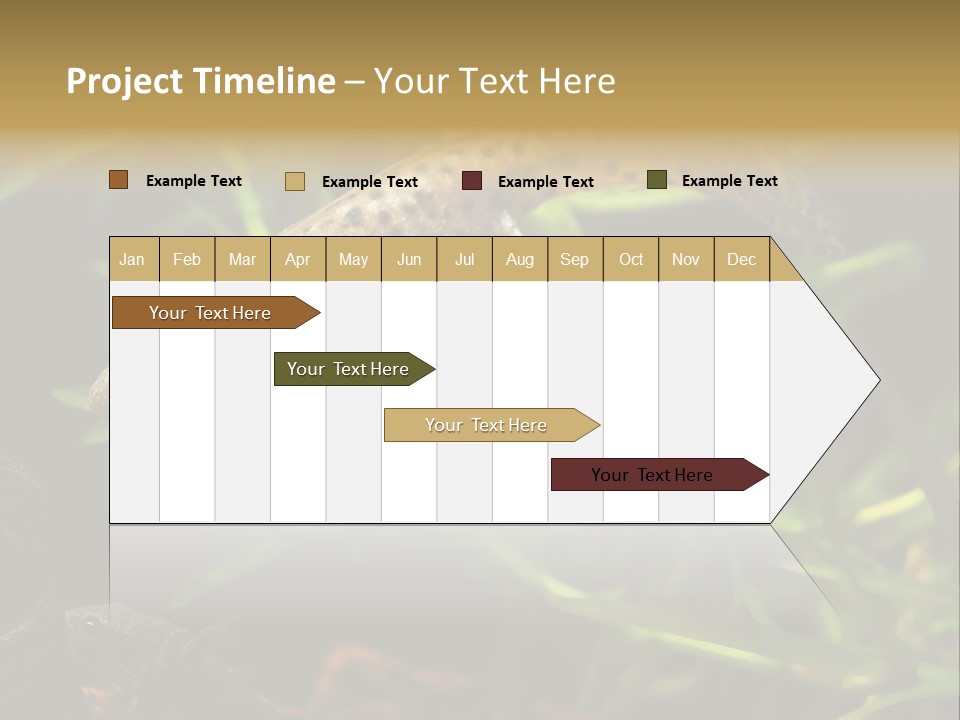 Crested Frog Young PowerPoint Template