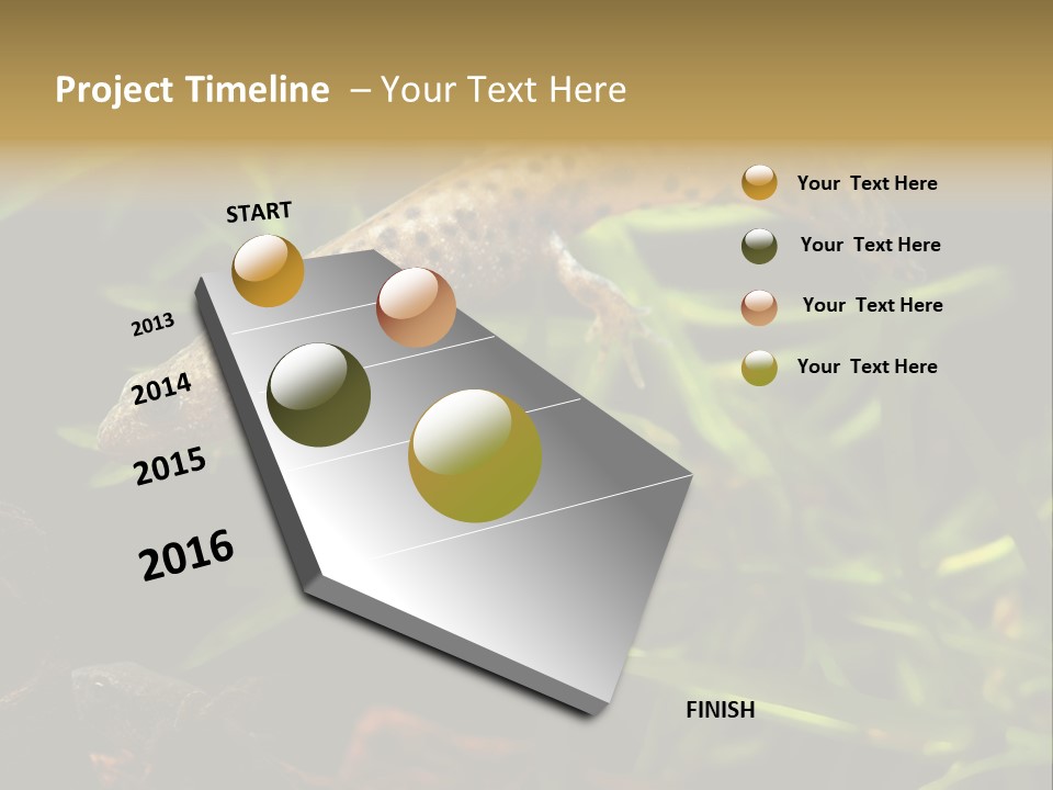 Crested Frog Young PowerPoint Template