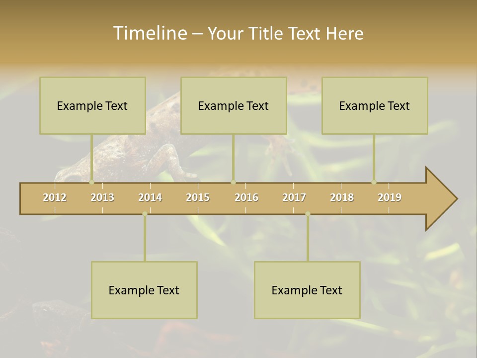 Crested Frog Young PowerPoint Template