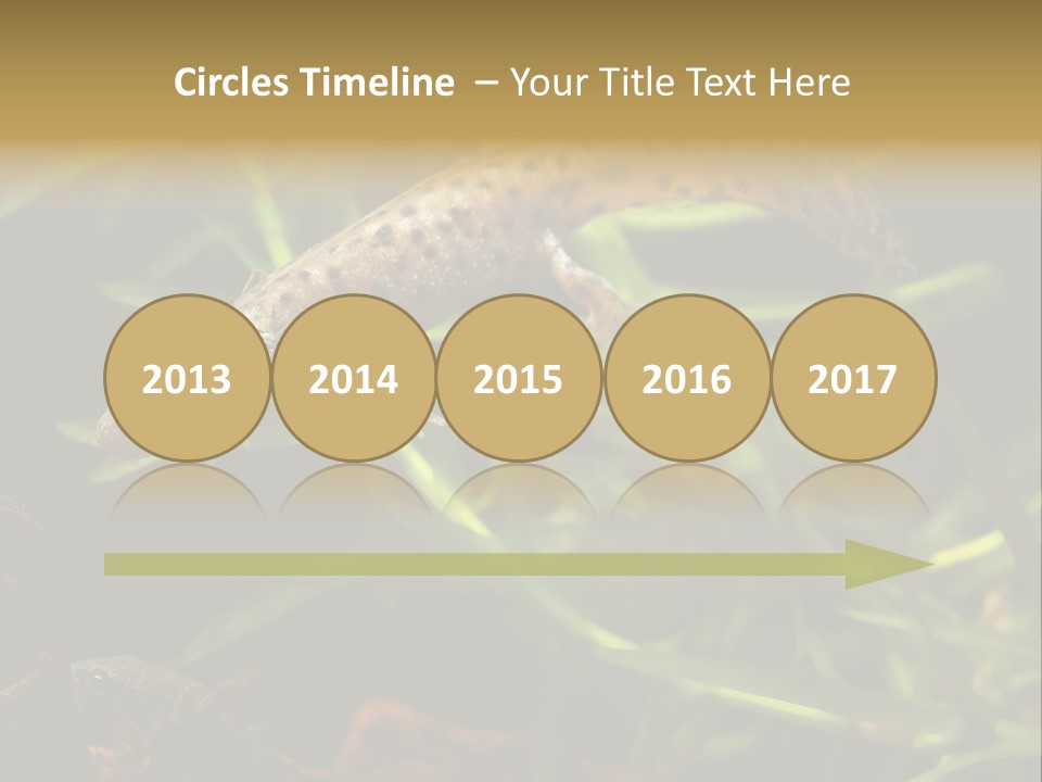 Crested Frog Young PowerPoint Template