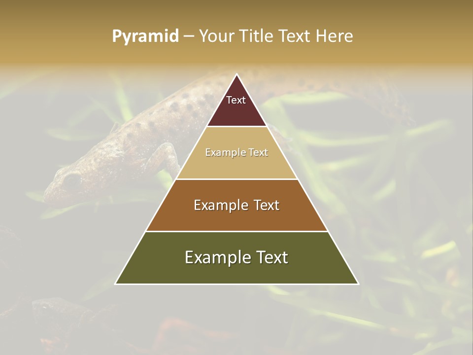 Crested Frog Young PowerPoint Template