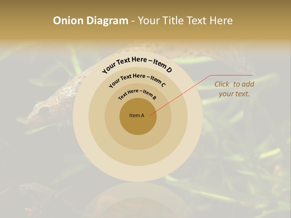 Crested Frog Young PowerPoint Template