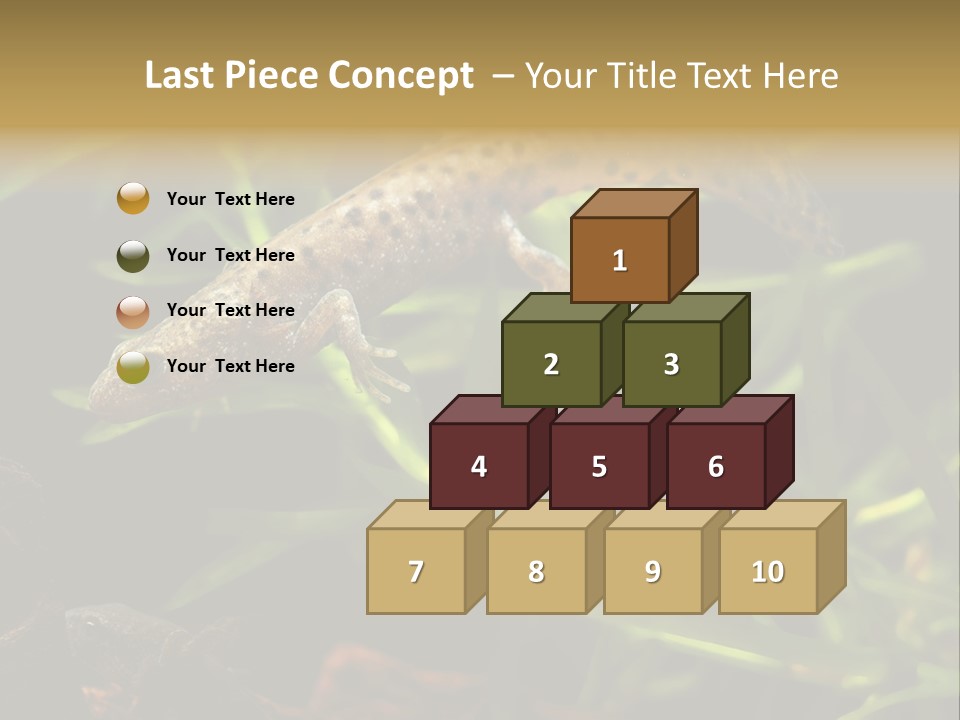 Crested Frog Young PowerPoint Template