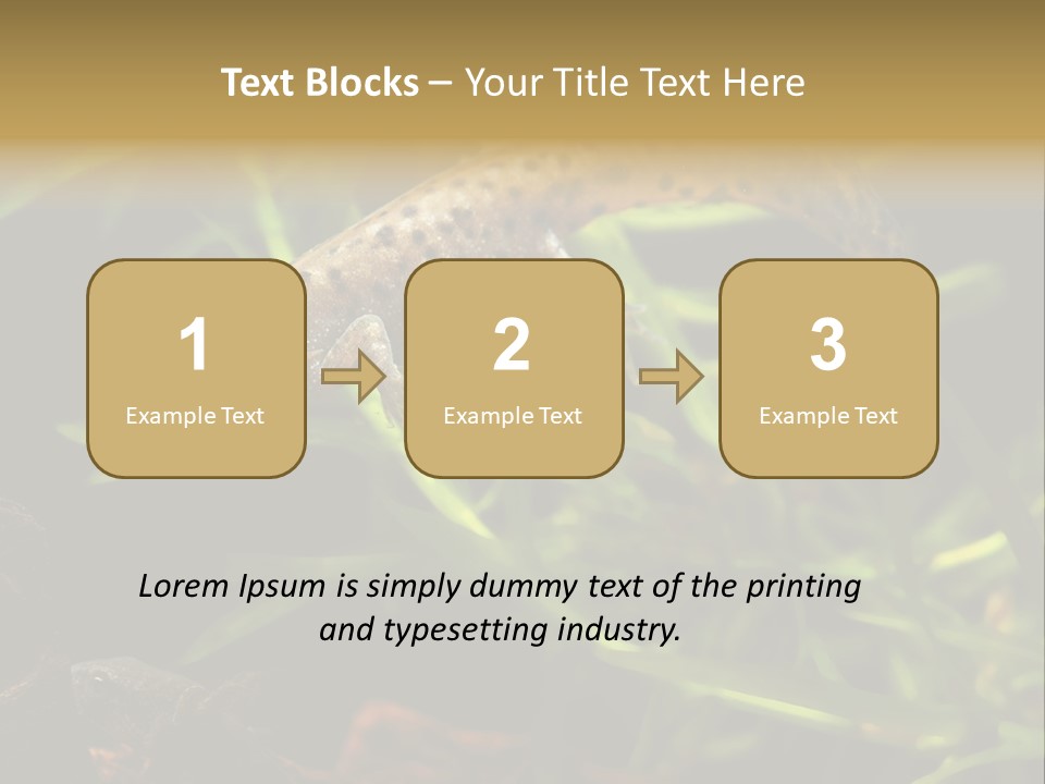 Crested Frog Young PowerPoint Template