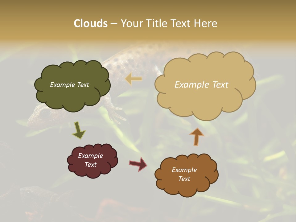 Crested Frog Young PowerPoint Template