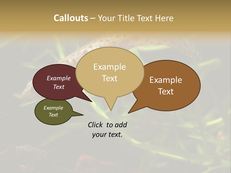 Crested Frog Young PowerPoint Template