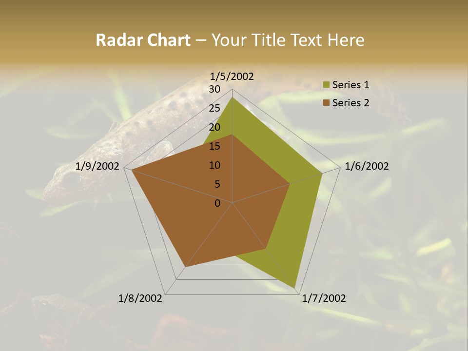 Crested Frog Young PowerPoint Template