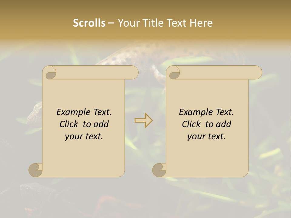 Crested Frog Young PowerPoint Template
