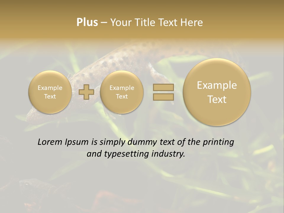 Crested Frog Young PowerPoint Template