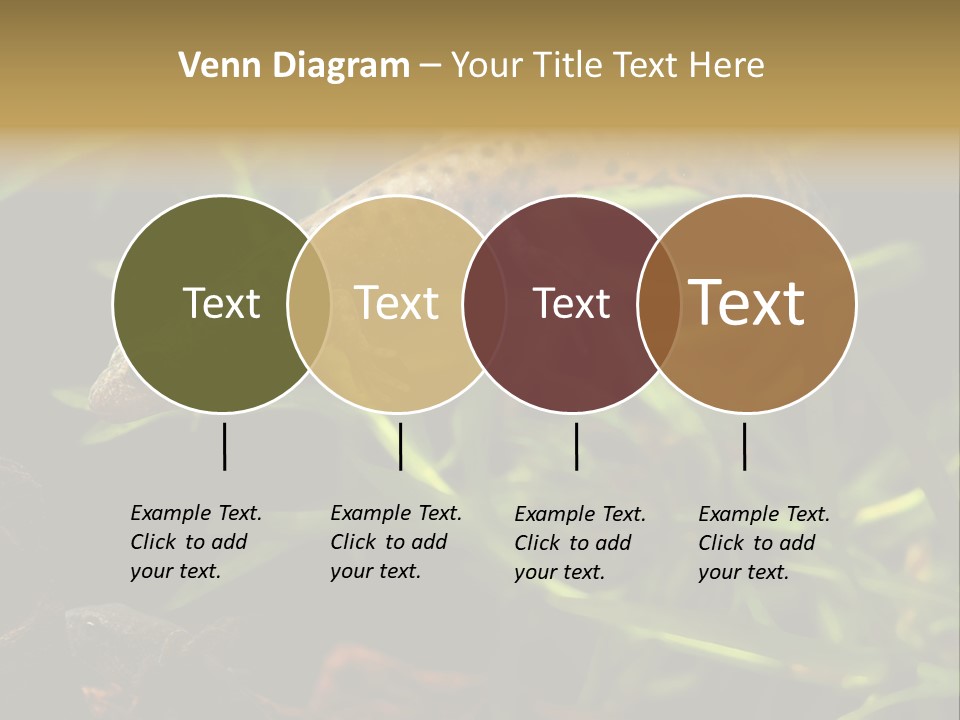 Crested Frog Young PowerPoint Template