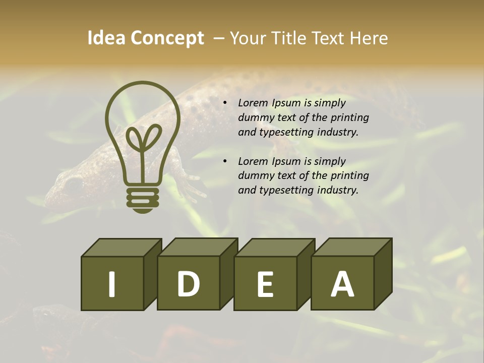 Crested Frog Young PowerPoint Template