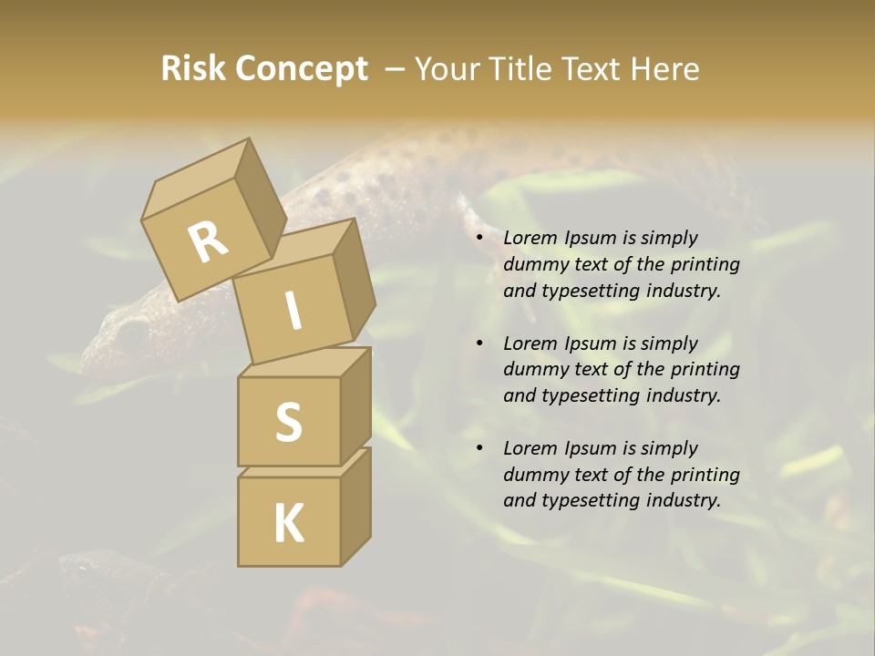 Crested Frog Young PowerPoint Template