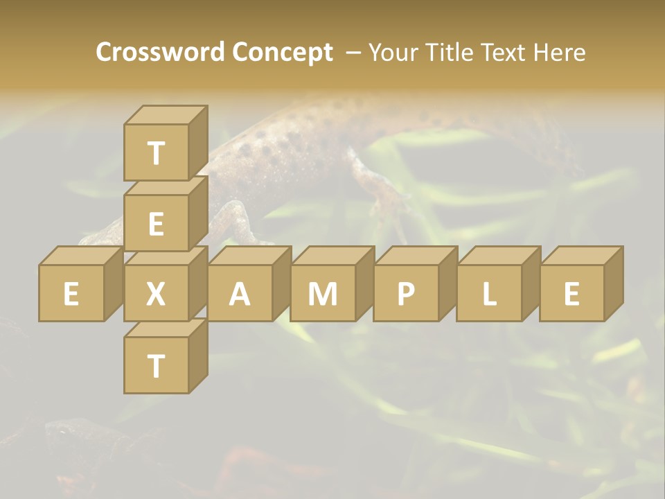 Crested Frog Young PowerPoint Template