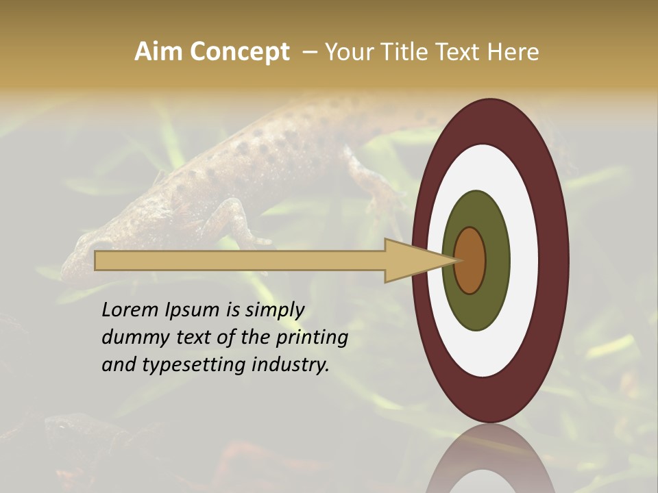 Crested Frog Young PowerPoint Template