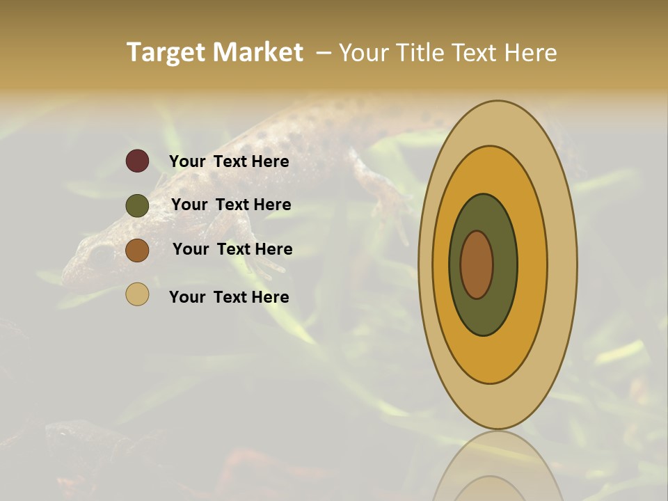 Crested Frog Young PowerPoint Template