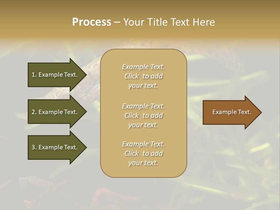 Crested Frog Young PowerPoint Template